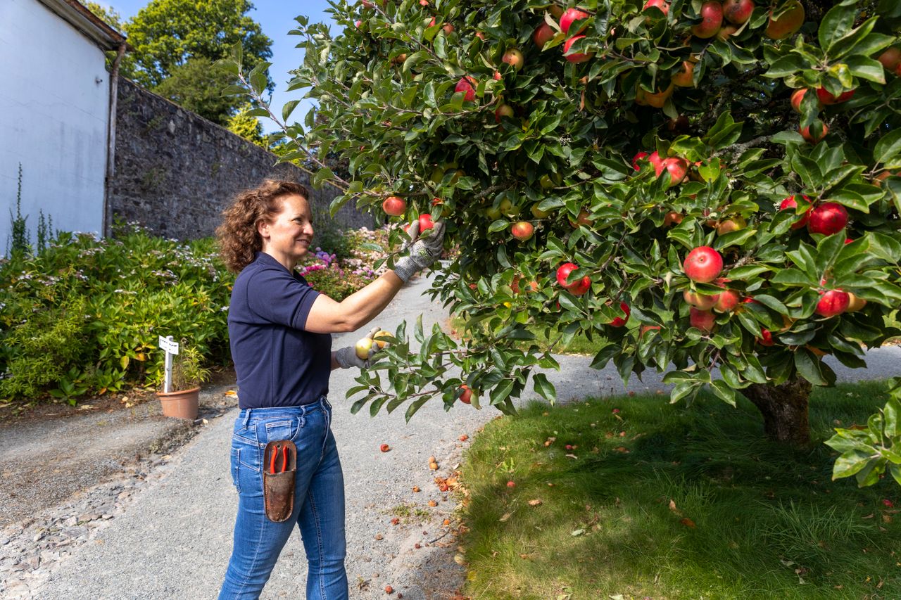 Mount Congreve School of Horticulture hosts open day