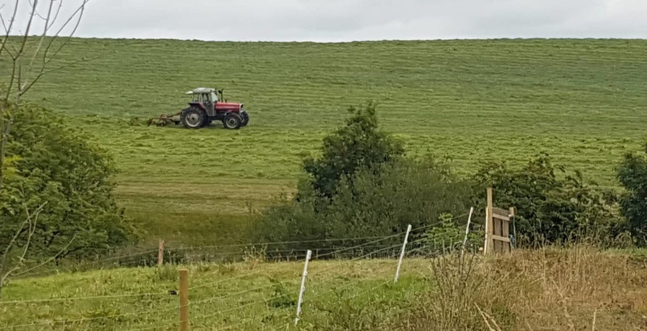 Teagasc draws up silage production agreement contracts