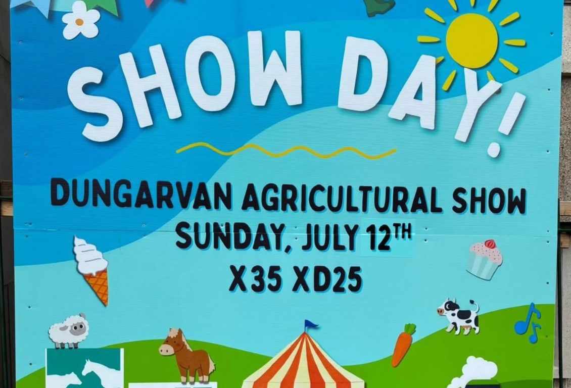 Local TB outbreak forces cancellation of Dungarvan cattle classes