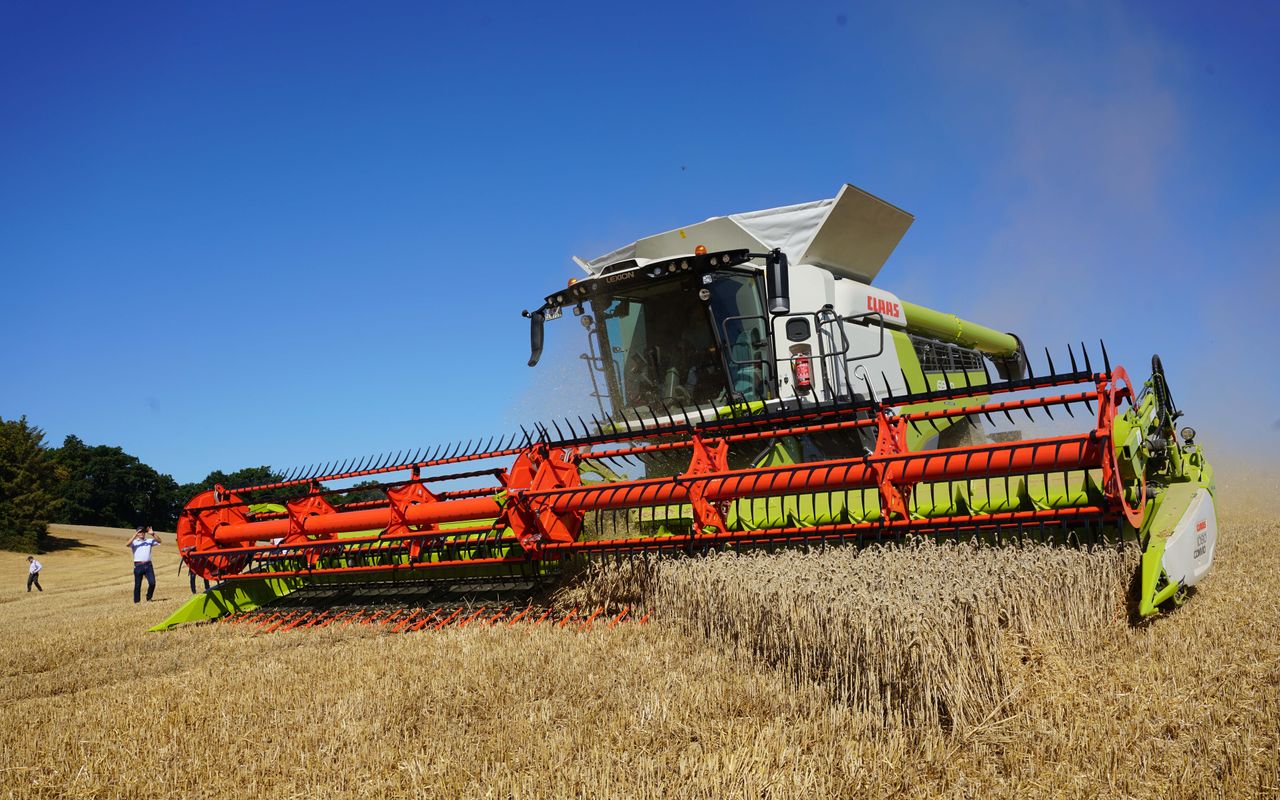 Why could grain sampling be key at harvest time?
