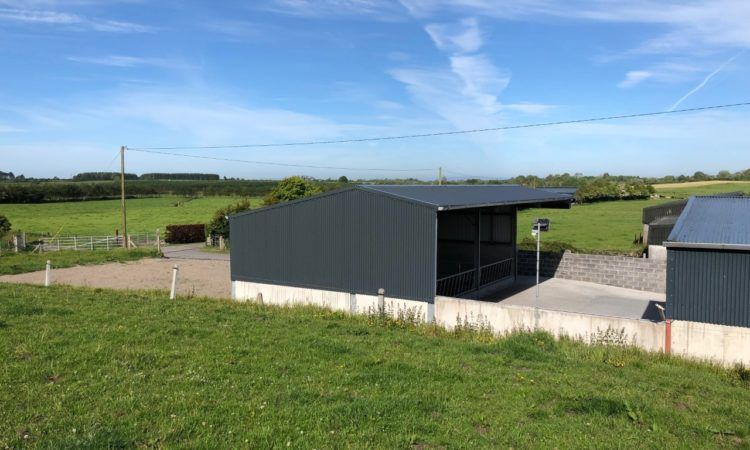 Back In Focus: A cheap and tidy 3-bay slatted unit for 20 cows in Co. Galway