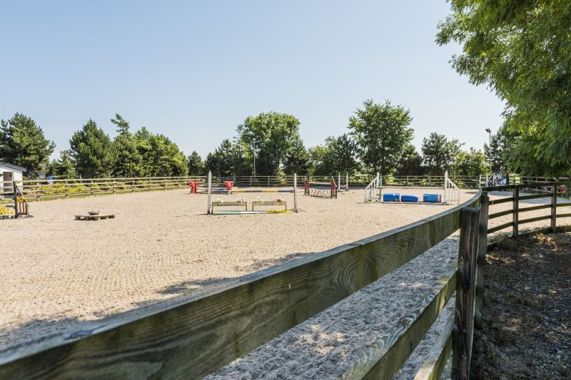 40ac equestrian property available for purchase in the 'Thoroughbred County'