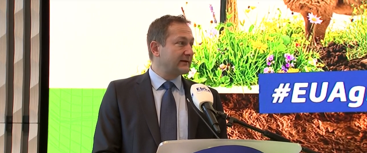 Hansen on Mercosur: One solution will not suit every member state