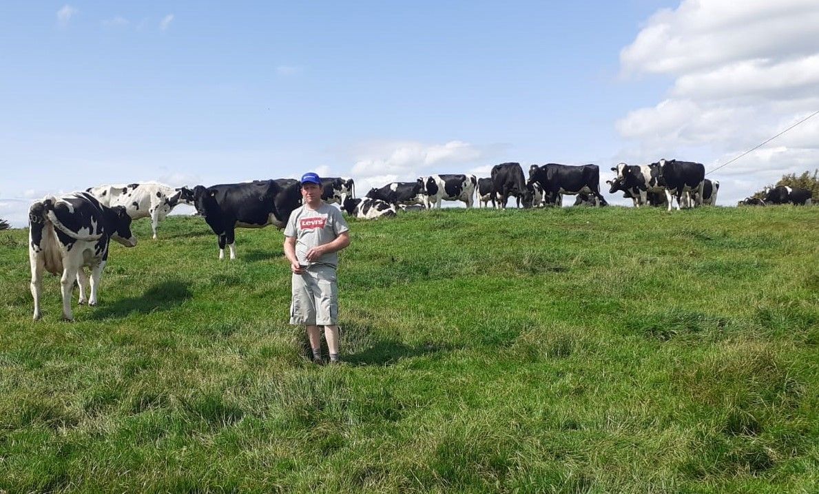 Replacing K after silage harvest is essential