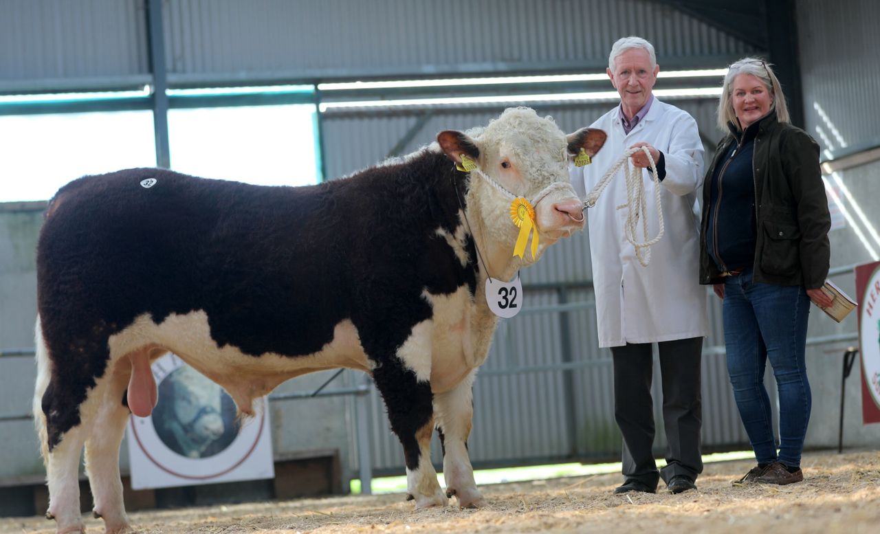Cavan-bred bull takes top price at Tullamore Hereford sale