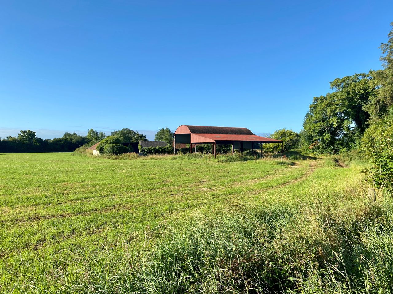 83ac Ballyfin farm in Laois for auction in multiple lots