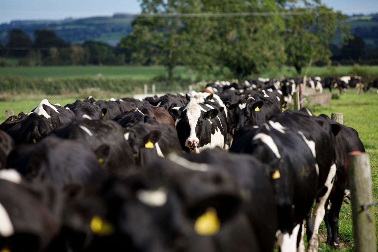Cultivate loan applications worth over €50m in 2023