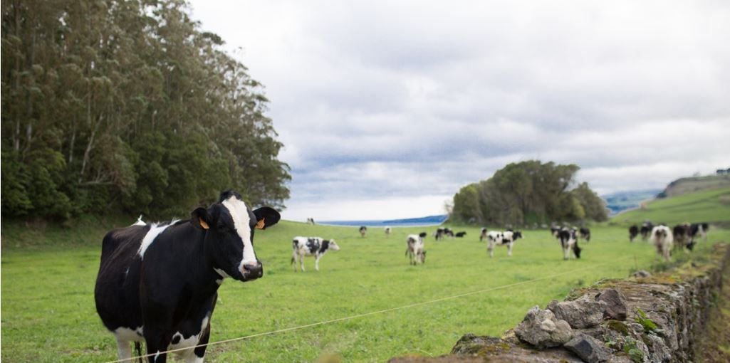 Get priority access to the next generation of genetics