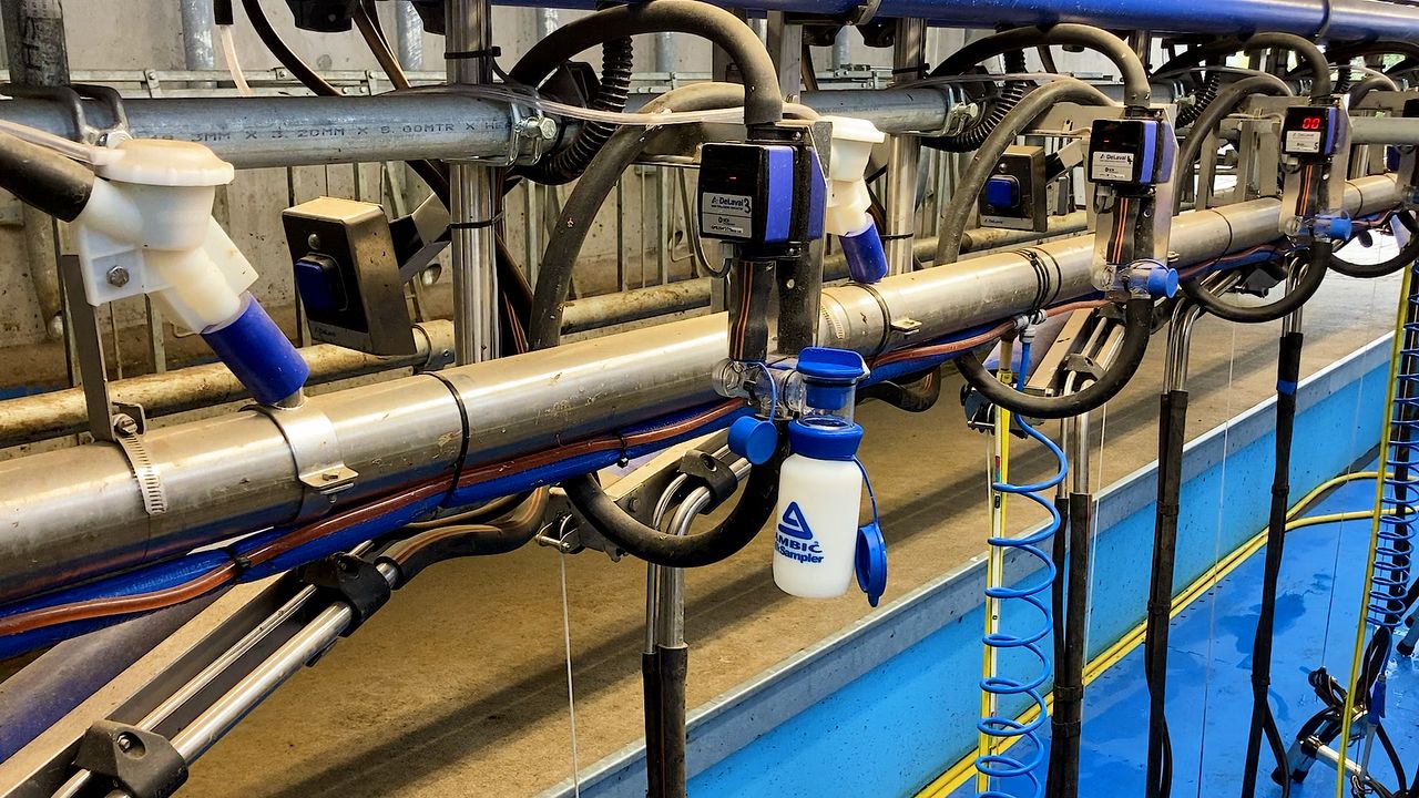 Dairy advice: Does early milk recording save money?