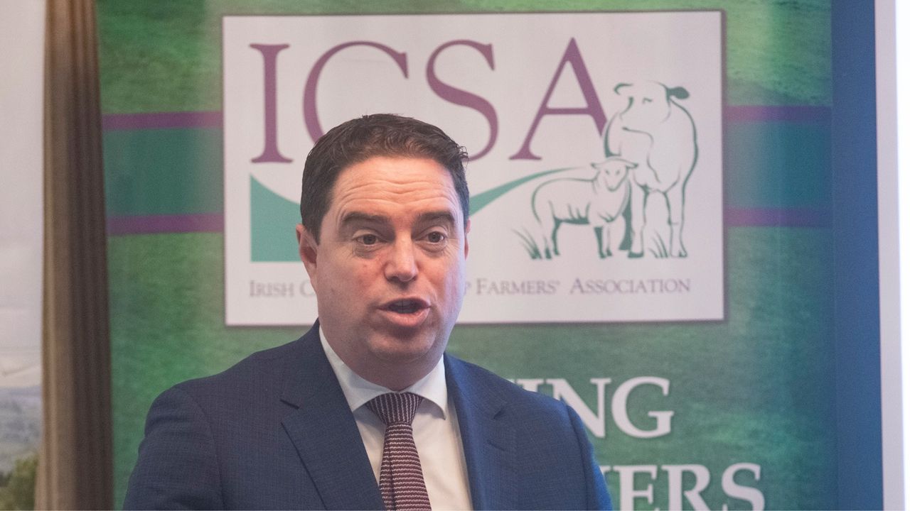 Minister's focus on 'rigorous monitoring' of Mercosur impacts