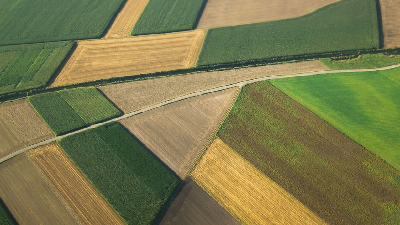 Germany grants access to seasonal workers amid farm labour shortage