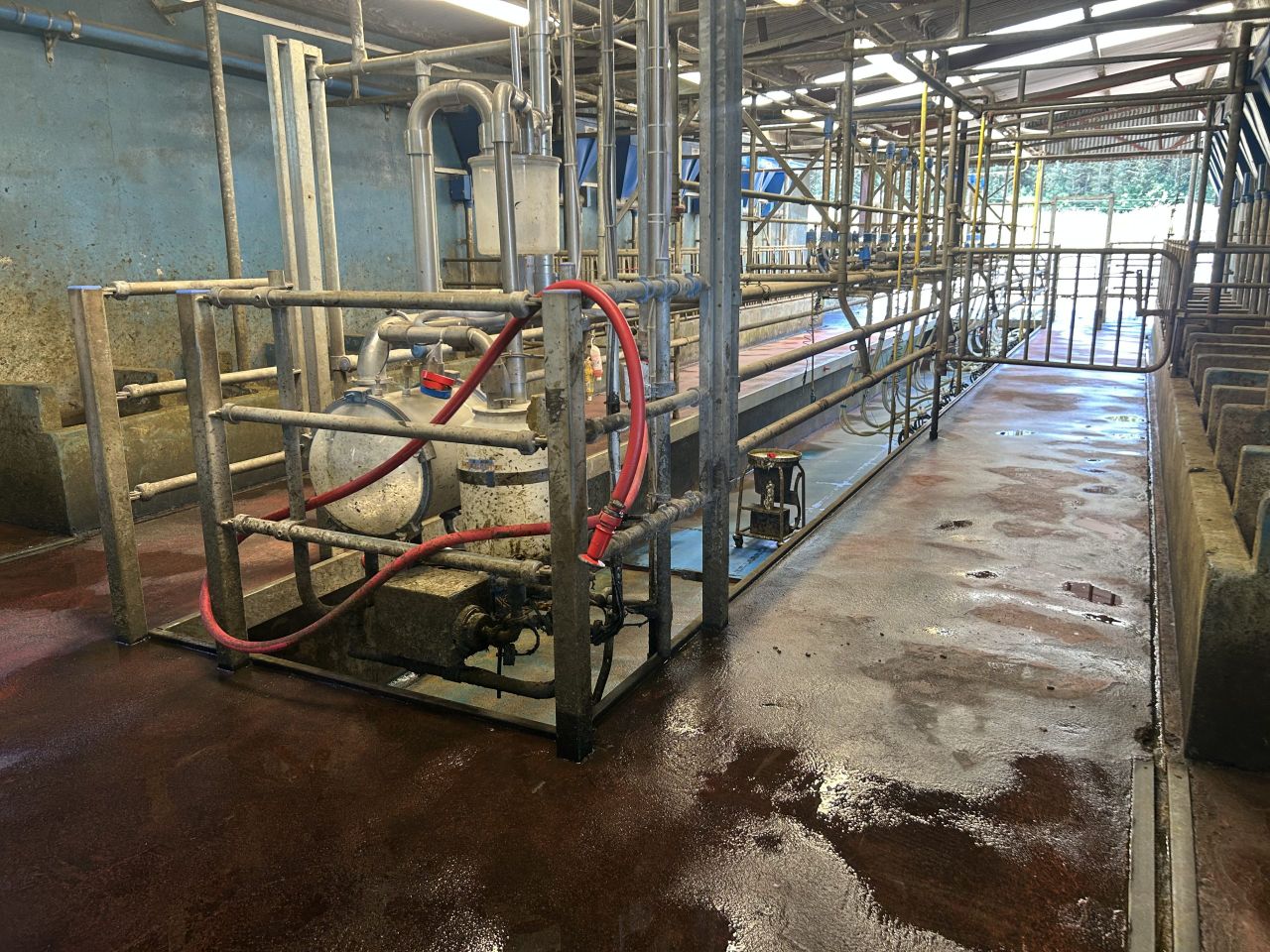 Controlling thermoduric and total bacteria counts this summer
