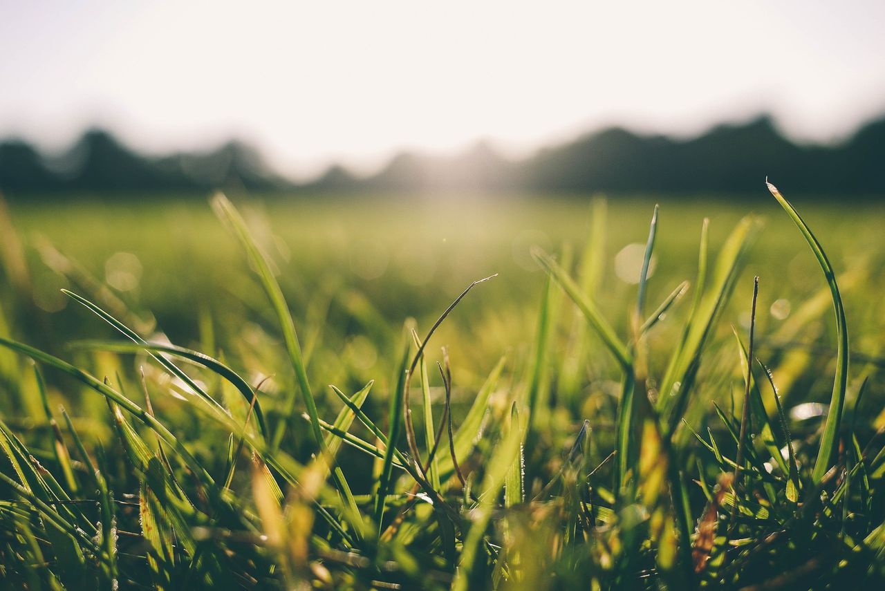 Climate Action Plan: Agri sector 'needs time and support'