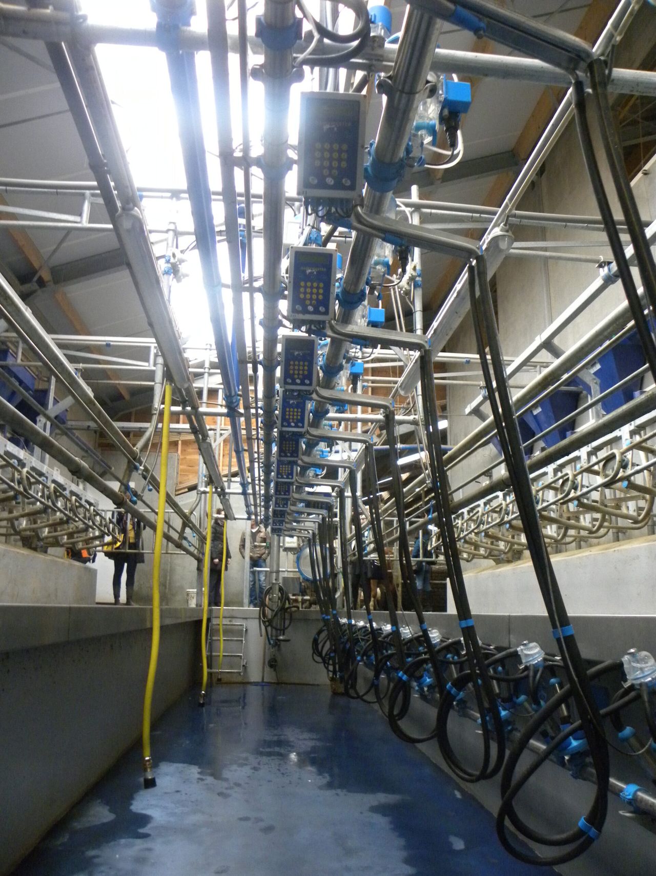 Fonterra dairy trade auction slumps 8.4%