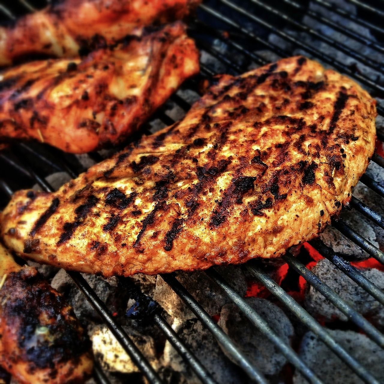 FAO: Demand for animal protein increasing due to population growth