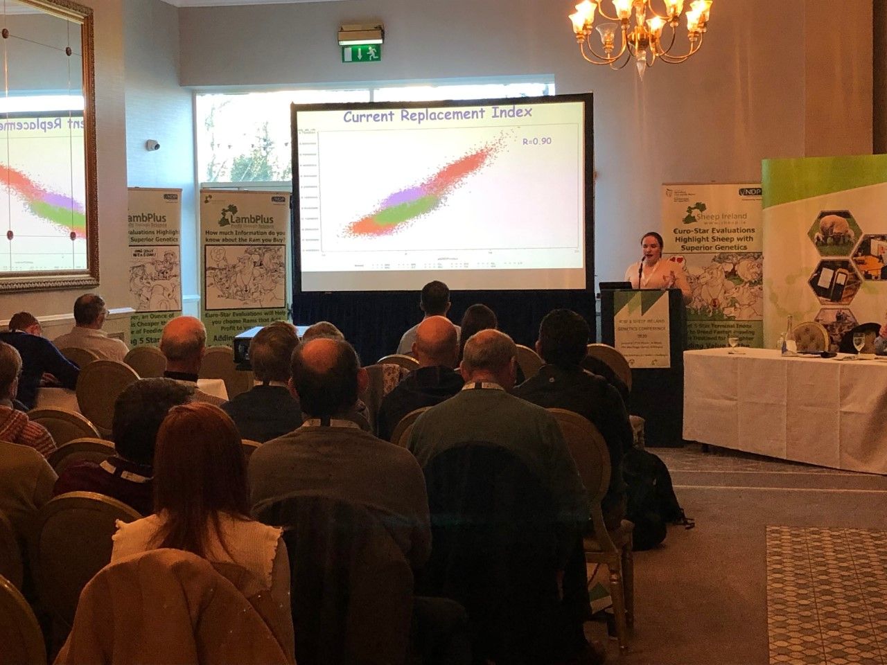 'How many lambs are too many?' - Sheep Ireland conference