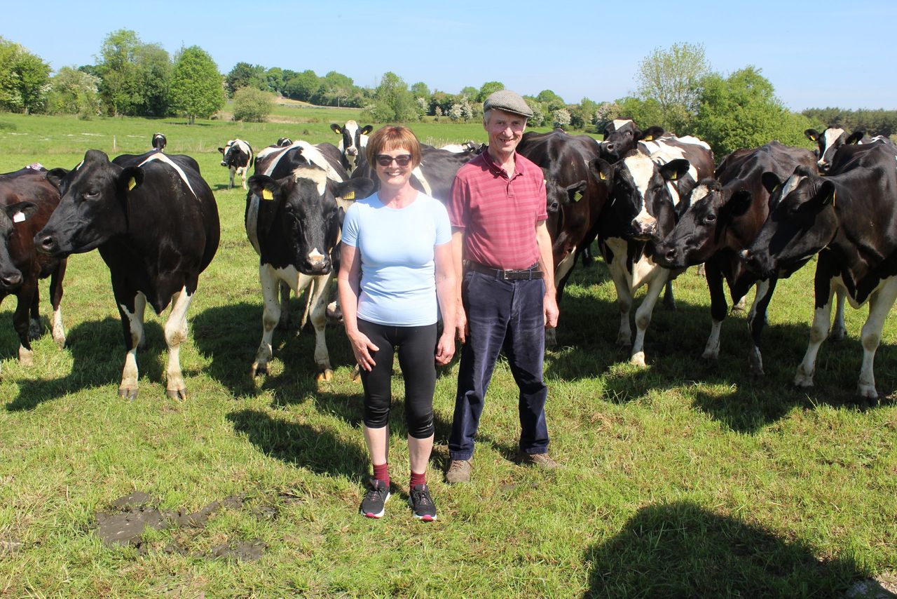 Jim and Brenda Murray with their award-winning Derrinsallow Herd near Birr, Co. Offaly. Source: IHFA
