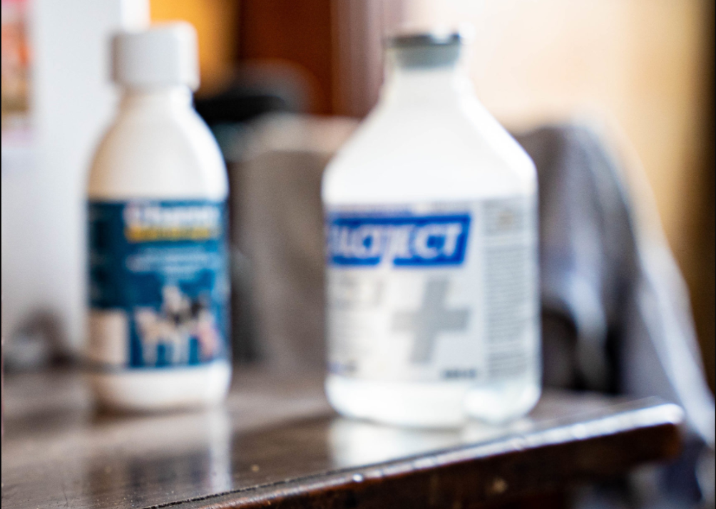 Call for further discussion on veterinary medicines changes