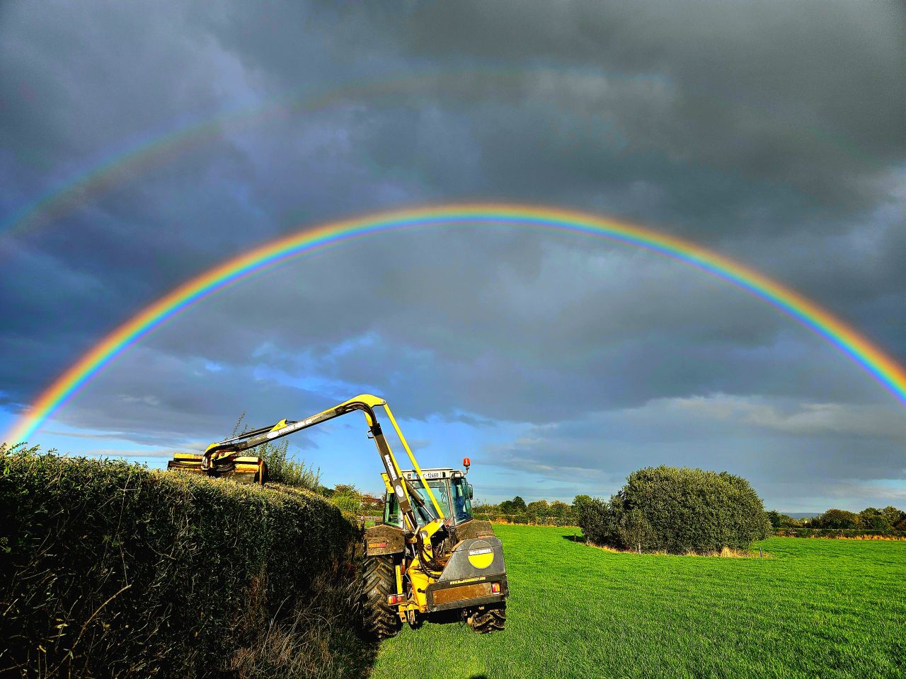 Hedgerows Ireland: Unnecessary confusion about hedge cutting laws
