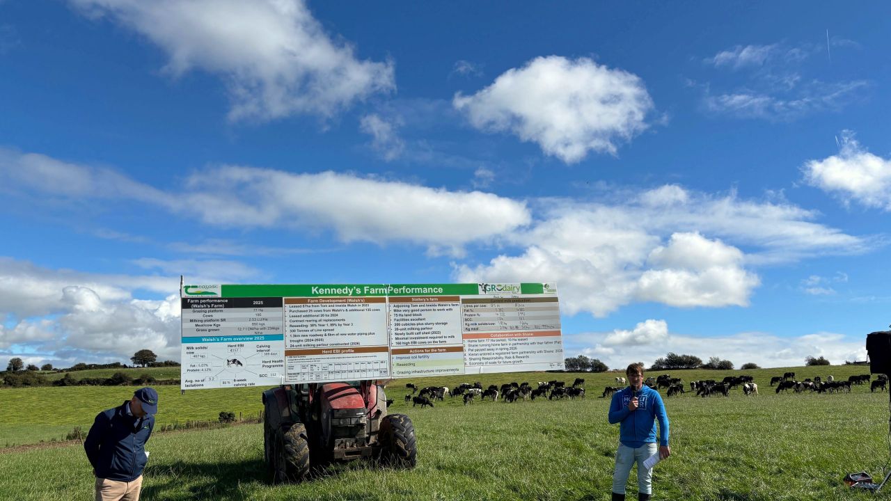 How this 450-cow dairy farm figured out succession
