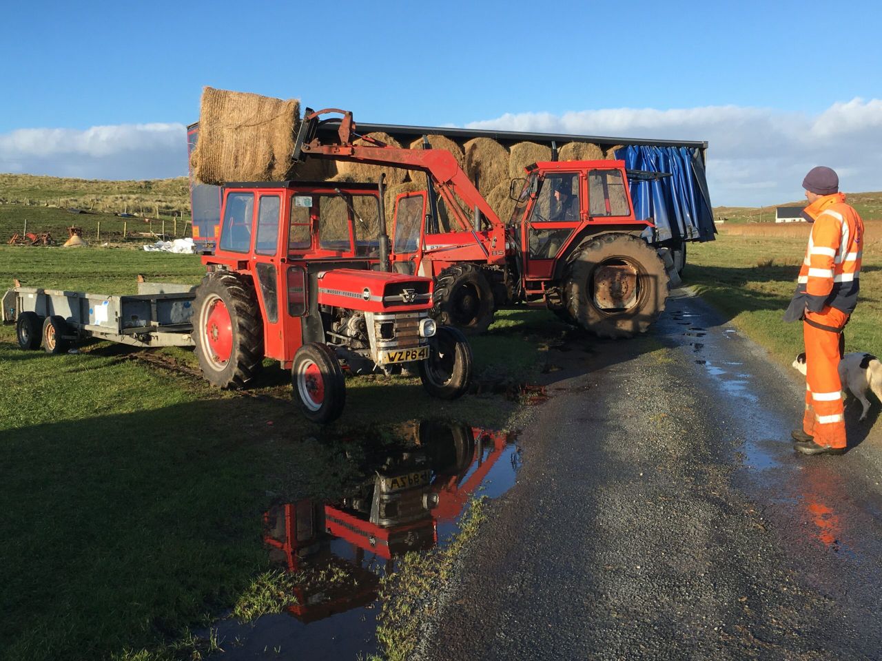 Is there enough fodder available in the UK to import into Ireland?