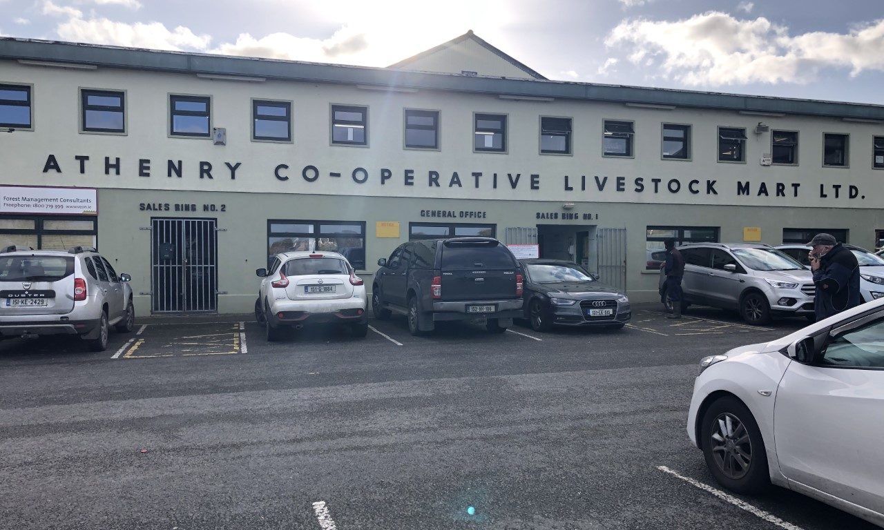Prices: Lambs make up to €126/head at Athenry on Monday