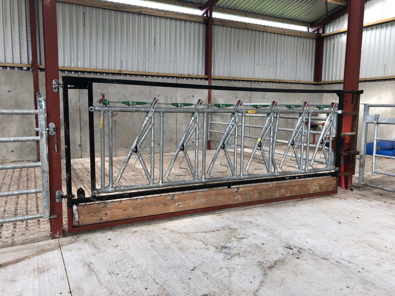 Do head-lock barriers make handling of cattle easier?