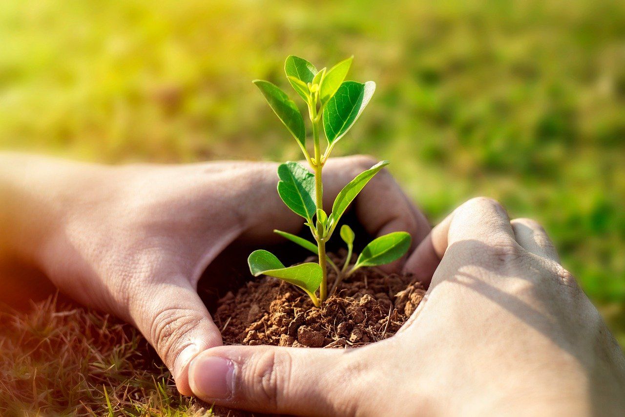 New plant health stakeholder network meets for first time