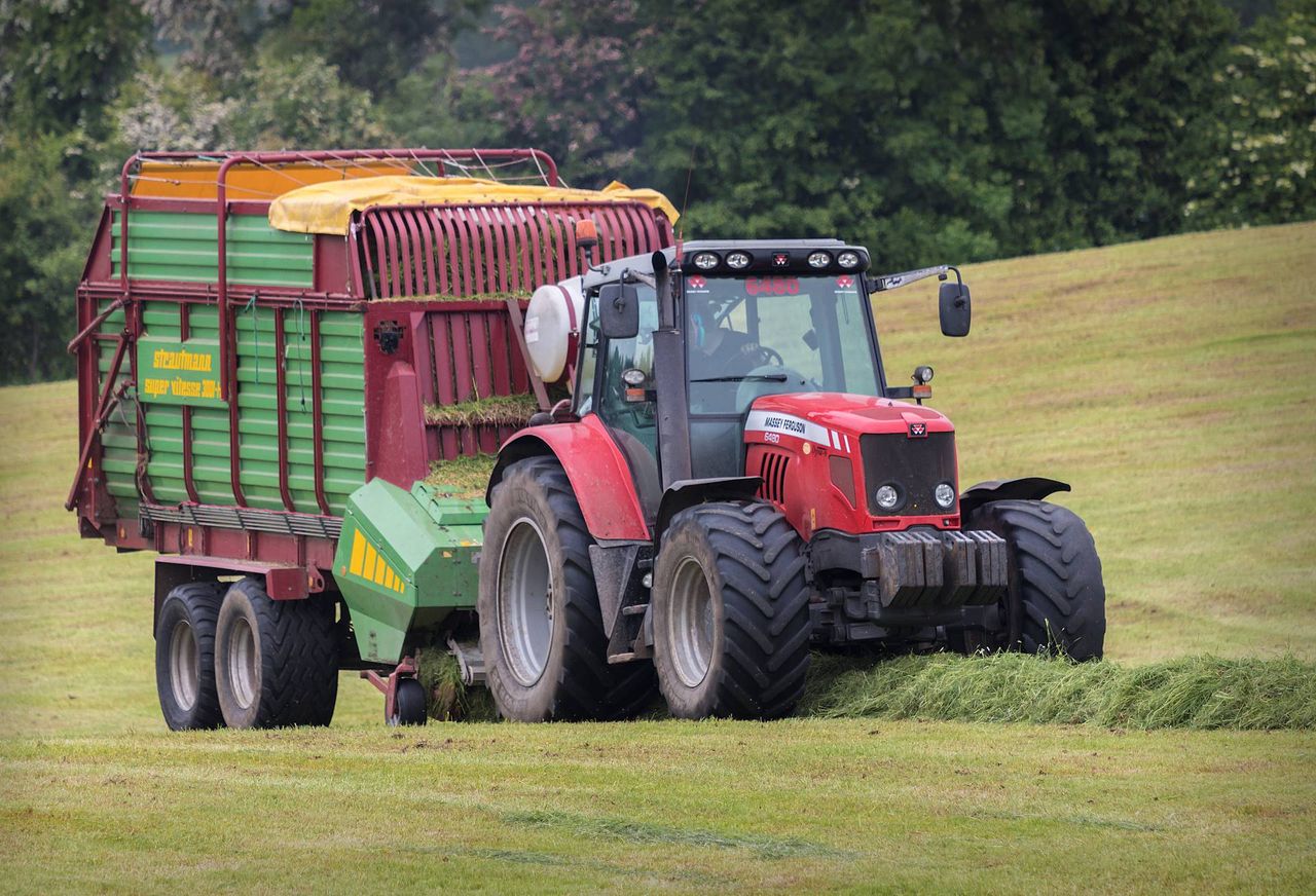 'Over the years, silage DM content has increased; but nutritional quality hasn't'