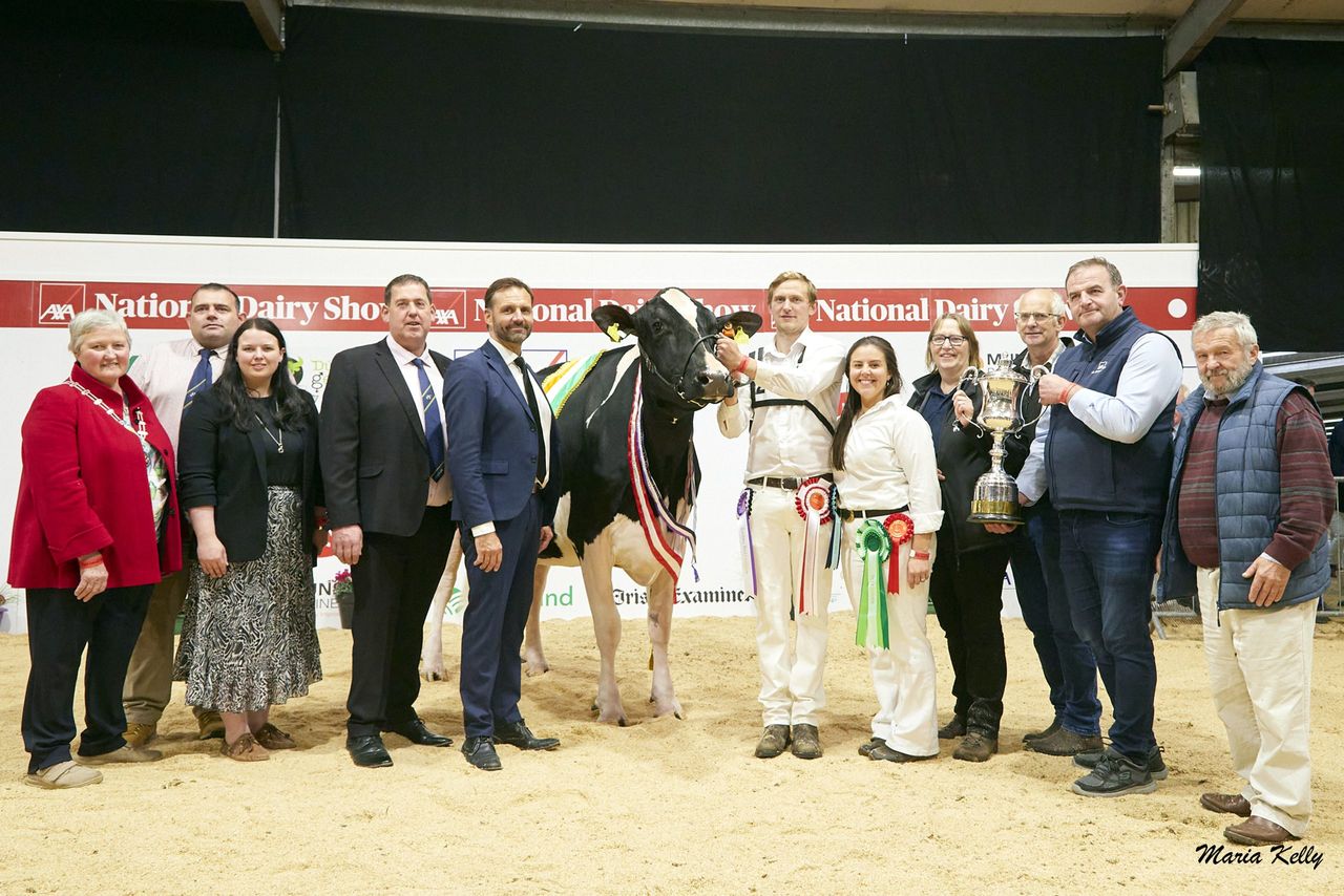 Day two of the AXA National Dairy Show 2024
