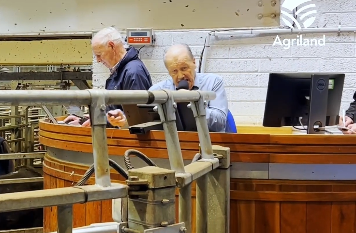 Watch: Half a century behind the rostrum at Kilkenny Mart