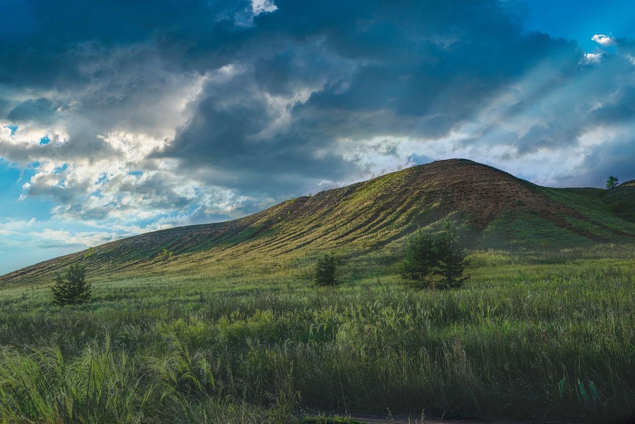 State land purchases for rewilding 'continue to alienate farmers'