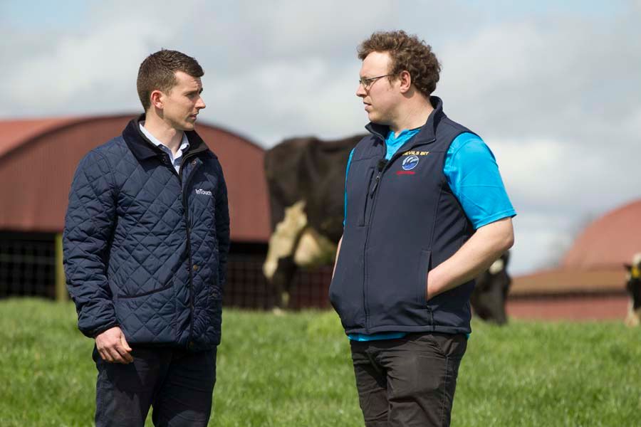 The importance of a successful dairy dry cow programme
