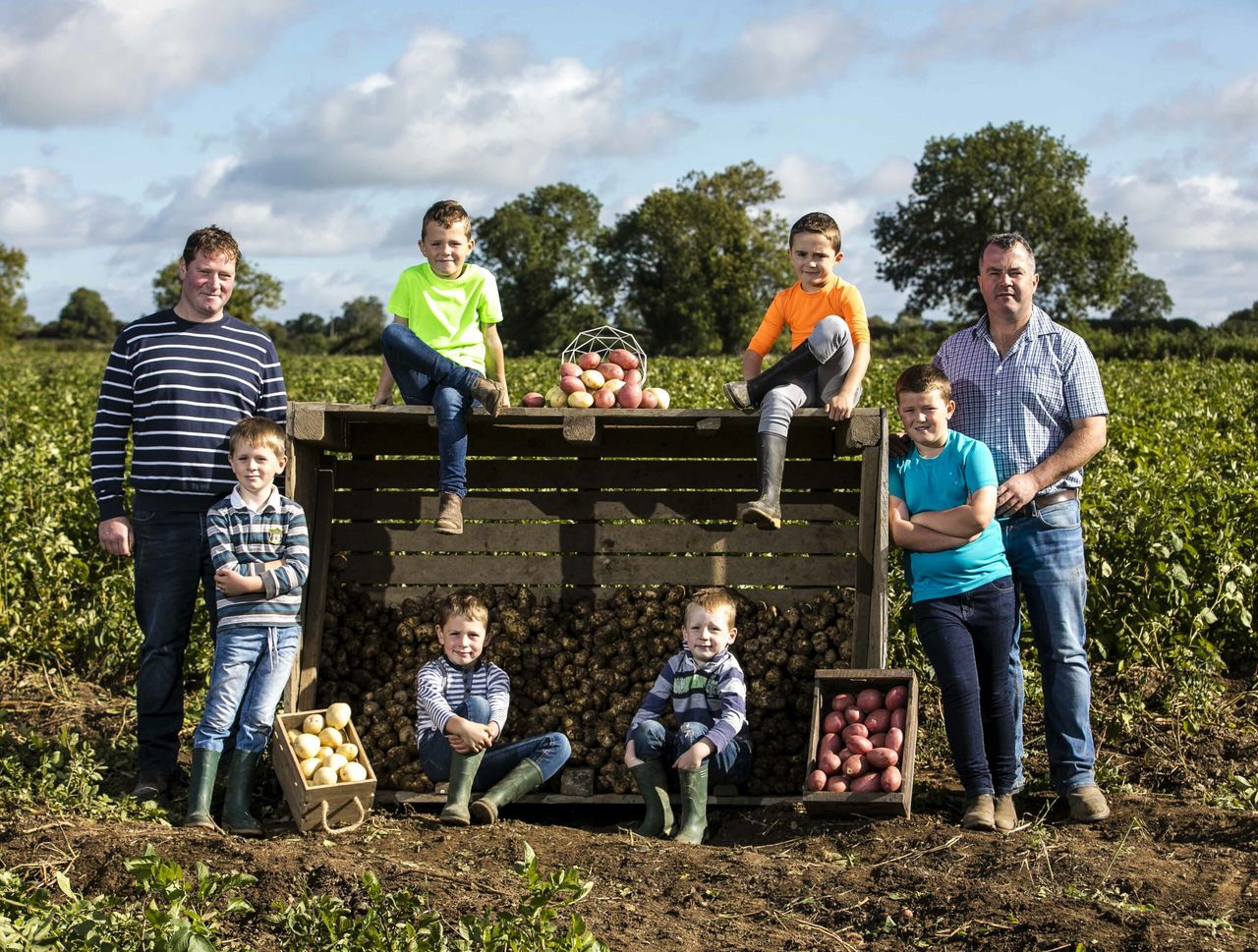 Spuds up: Bord Bia gears up for National Potato Day 2018