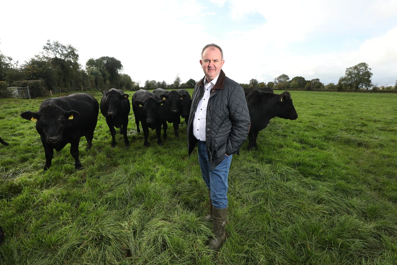 Certified Irish Angus announces 30c/kg beef bonus