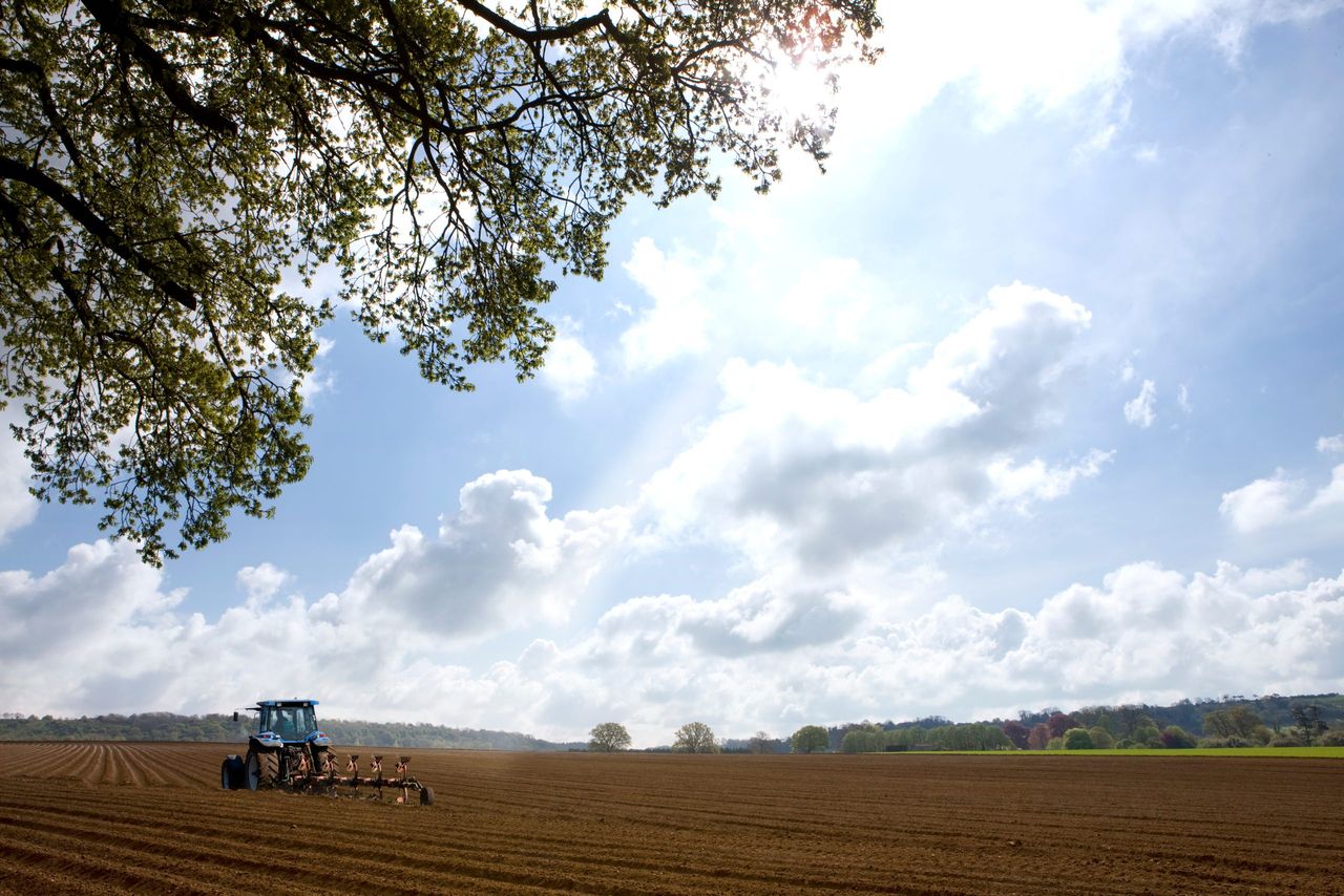 Ireland needs a 'CAP that is more straightforward for farmers' - Healy Rae
