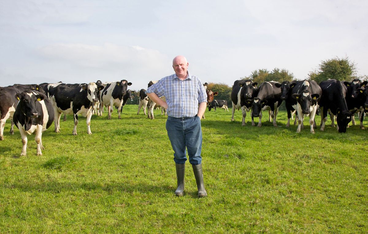 Delay in Glanbia Belview plant will 'cost rural Ireland' - Cahill