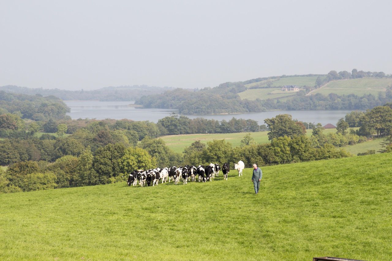 Cavan farm walk to discuss cashflow and succession