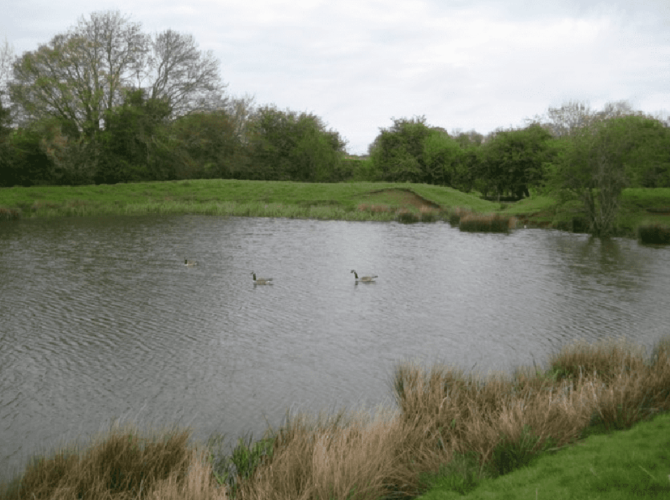 'Hare's Corner' biodiversity initiative launched in Mayo