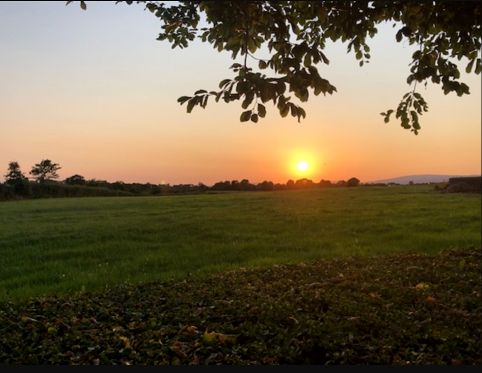 Farmers invited to take part in free course exploring food systems