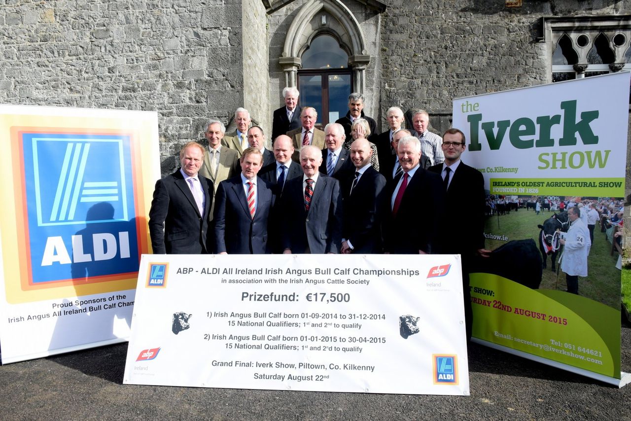 €17,500 prize fund for All-Ireland Angus Bull Calf Championship