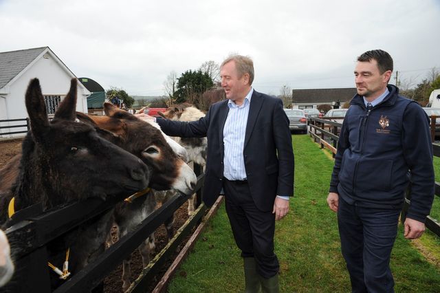 Over €2.5 million in funding allocated to 111 animal welfare organisations