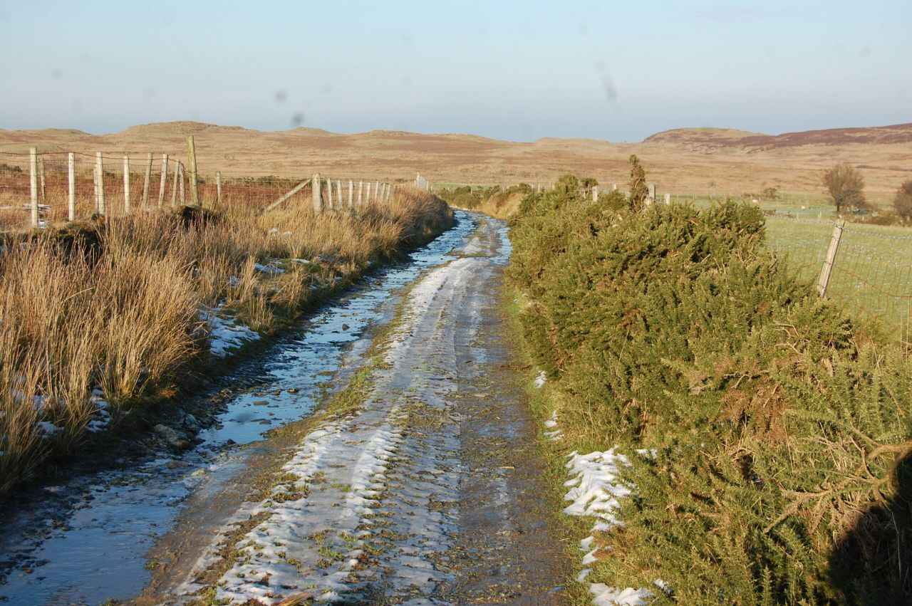 Frost and ice forecast - here's good advice for driving in these conditions