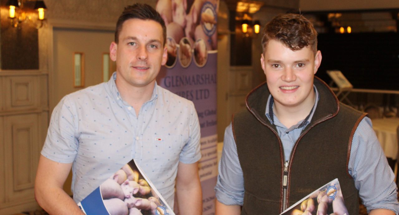 Challenging six months ahead on Irish pig farms