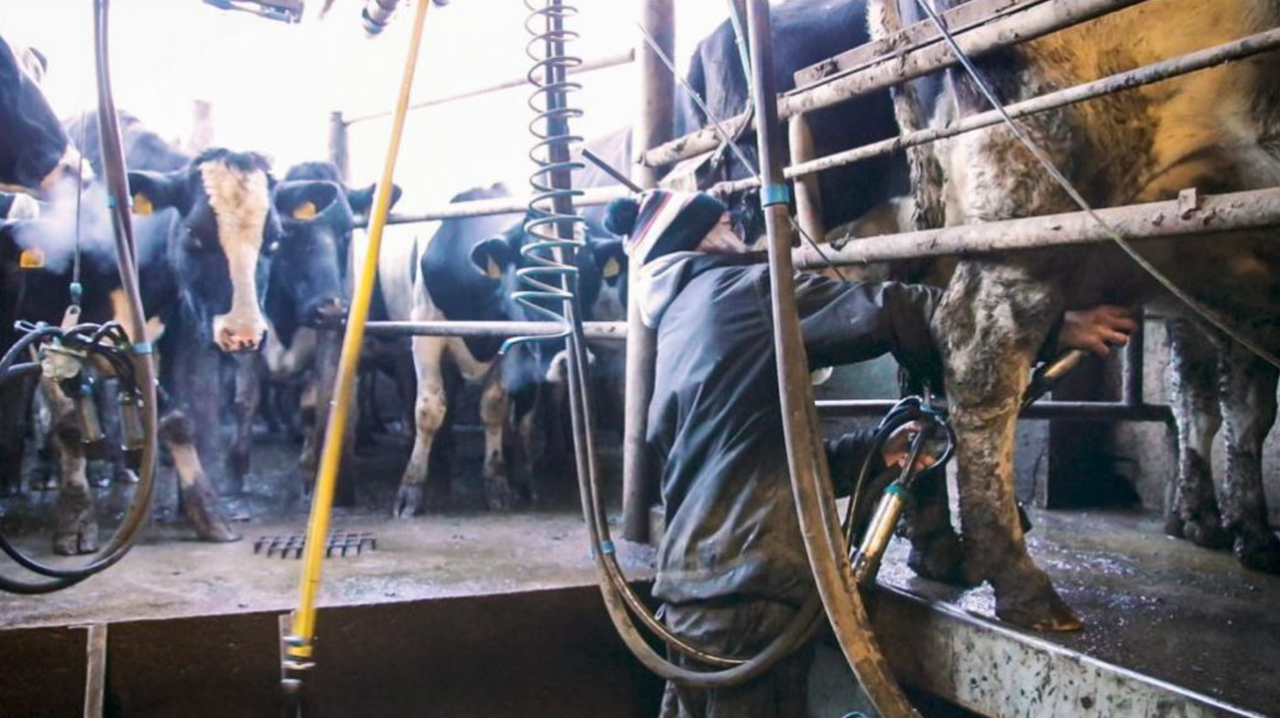 Managing the farm's workload this spring