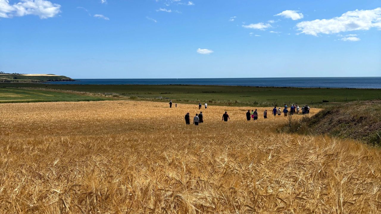 Farmers invited to take part in Arable Coast Environment project