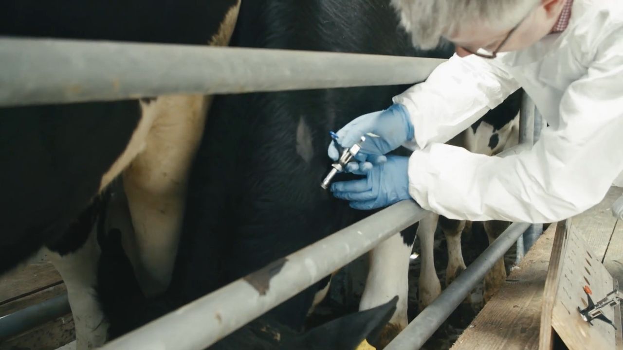 Concerns raised over parasite resistance in grazing animals