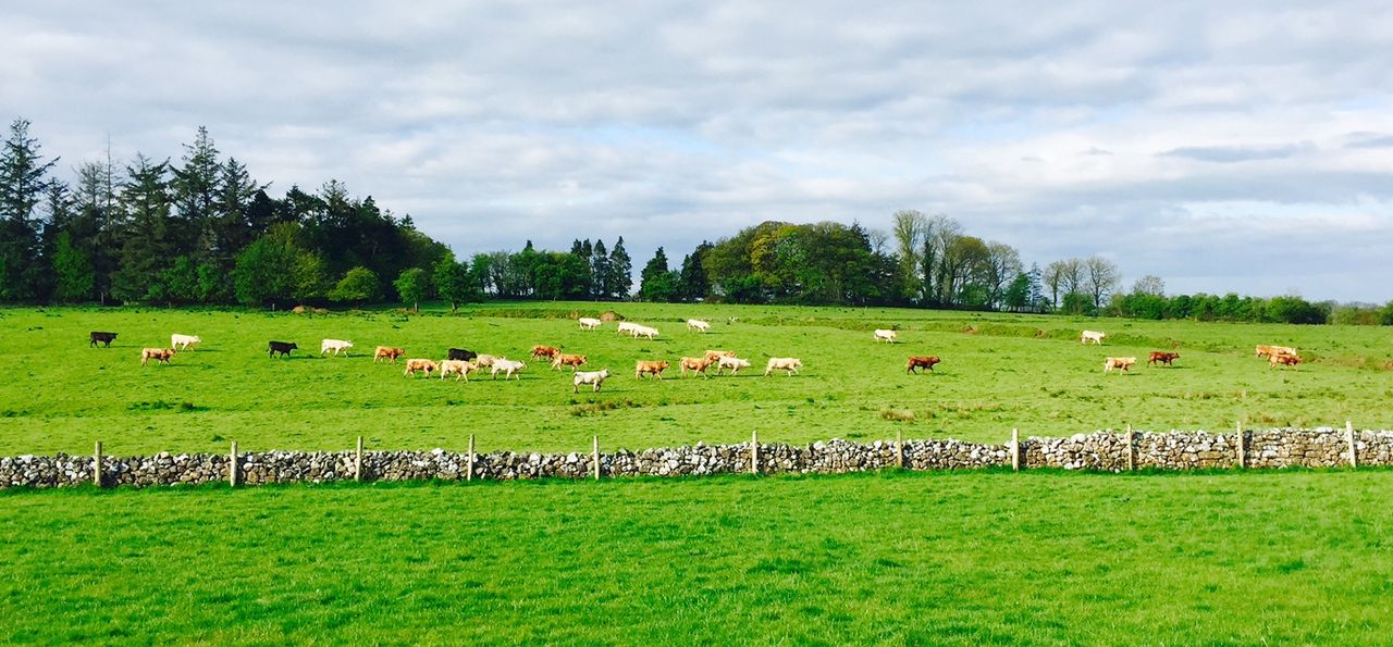 Coveney comes in for criticism on decision to leave 2,500 farmers out of GLAS 2