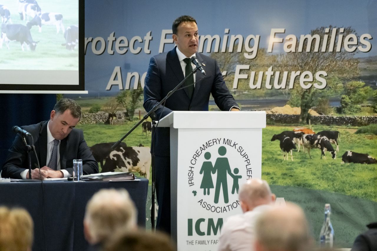 EU states see derogation as 'competitive advantage' - Taoiseach