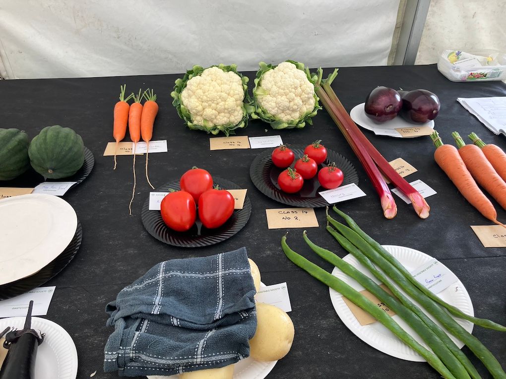Championships set to showcase the best of Irish vegetables